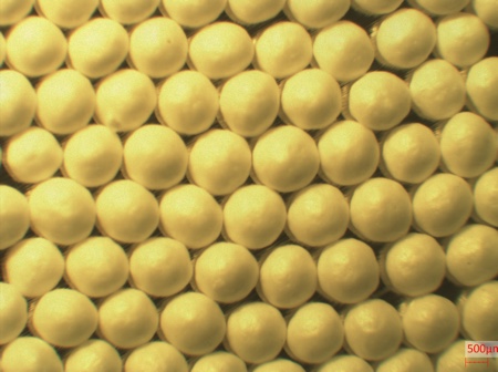 1.3mm coated spherical pellets: the coating determines at which stage of the gastrointestinal tract the API is released