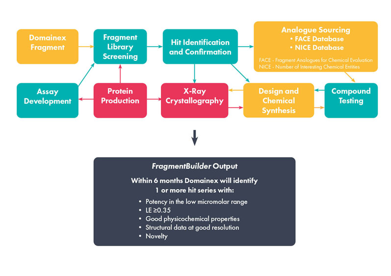 Figure 1: Overview of the FragmentBuilder process