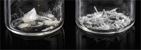 Ibuprofen crystallised from acetone (L) and ethyl acetate (R)