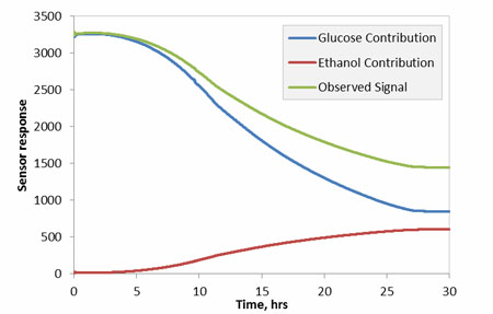 Figure 5: Corresponding concentrations derived from measured response data. For comparison, glucose concentration measured by a conventional off-line method outside the fermentation vessel is also plotted 
