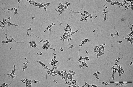 TEM micrograph of biomimetic apatite nanocrystals used in this RBC cryopreservation study. (size bar = 200 nm)