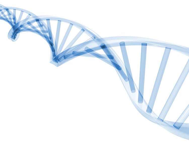 4basebio announces plans to spin-off DNA business