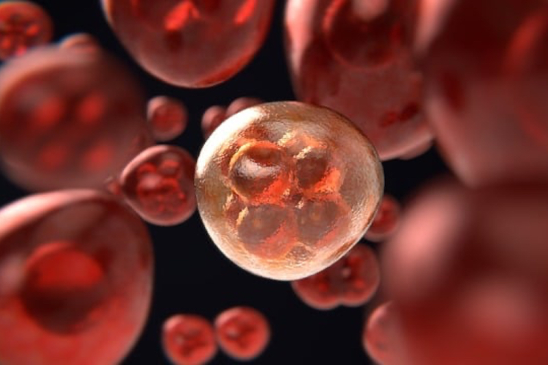 4SC’s Kinselby receives orphan drug status for CTCL in Switzerland