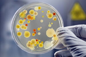 £500,000 grant could lead to a new class of antibiotics to combat superbugs