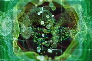 A bullish time for biotech 