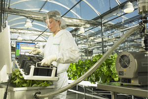 A hothouse for drug r&d