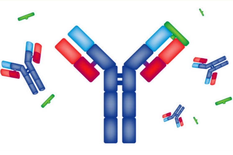 AbbVie and Eisai obtain additional approval for Humira