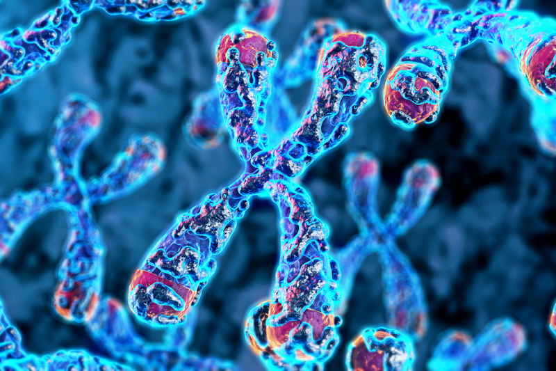 Abcam and EpiCypher partner to develop ChIC/CUT&RUN reagents