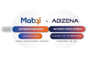 Abzena and Mabqi announce strategic partnership to offer integrated discovery through development solution