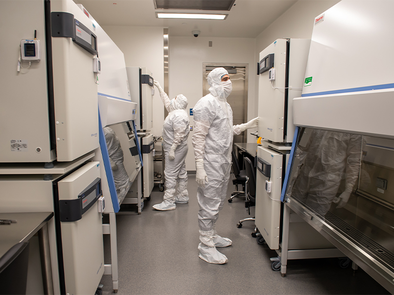 Accelerating the manufacture of life saving drugs