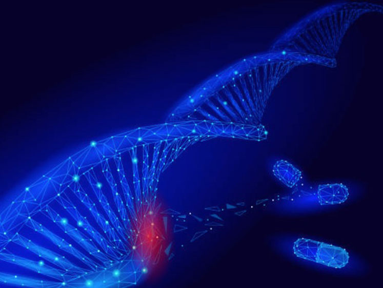 Adding more to the cell and gene therapy playbook