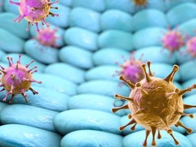 Adeno-associated virus vectors research collaboration