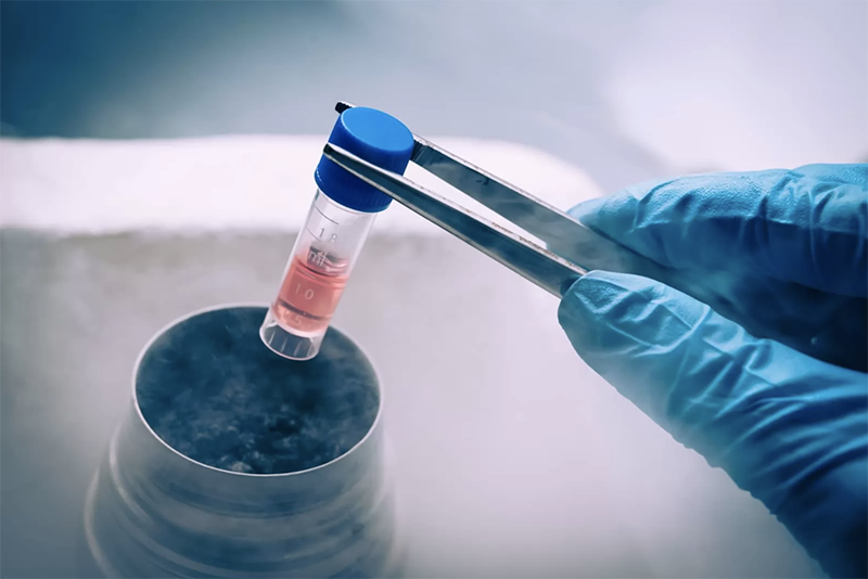 Advanced therapy medicinal product cleanroom facilities: A roadmap for success
