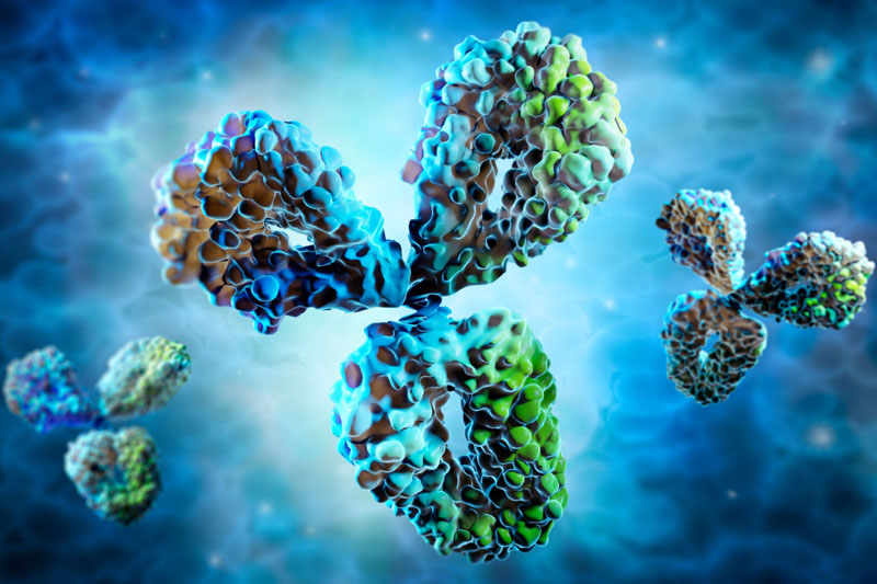 Advancing targeted protein degraders: leveraging CMC strategies for rapid IND submission and bioavailability solutions