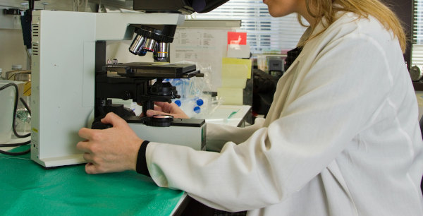 Agilent companion diagnostic expands CE-IVD mark in Europe 