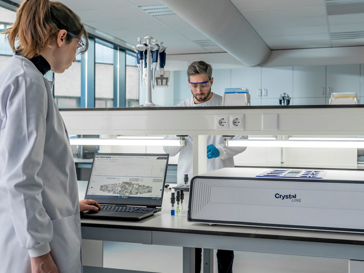 AI-based software for crystallisation studies