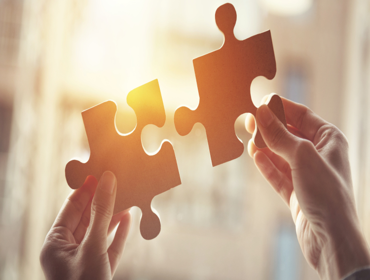 Albumedix enters distribution agreement with Fujifilm Wako