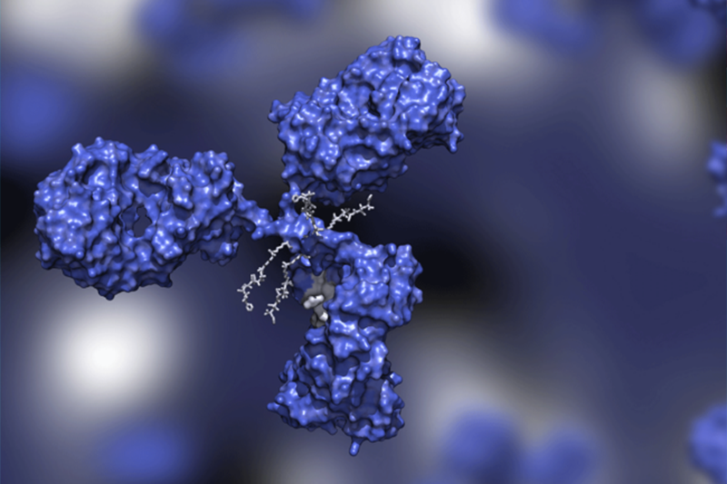 Formosa Pharmaceuticals licenses Almac Discovery's bispecific ADC, ALM-401