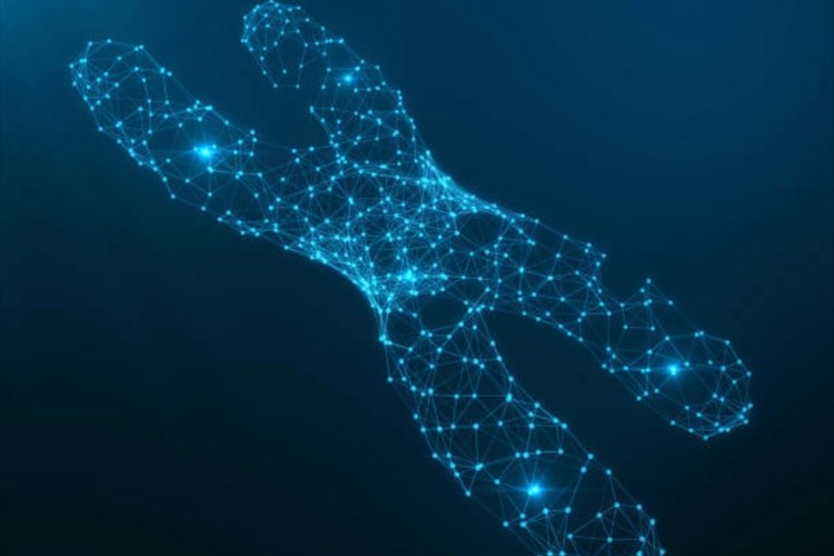 Amicus chooses Thermo Fisher for gene therapy CDMO services