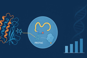 Amphista Therapeutics discloses first details of its SMARCA2 degrader programme