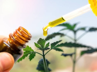 Amyris gets US$10 million from CBD partner Lavvan