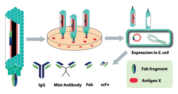 An infectious approach to new drugs