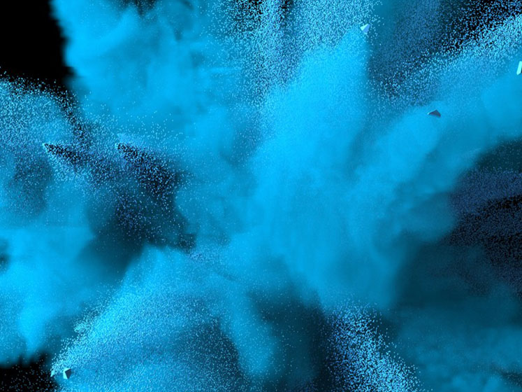 An introduction to combustible dust