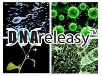 Anachem's New DNAreleasy™ - Go from cells to PCR in less than 10 minutes!