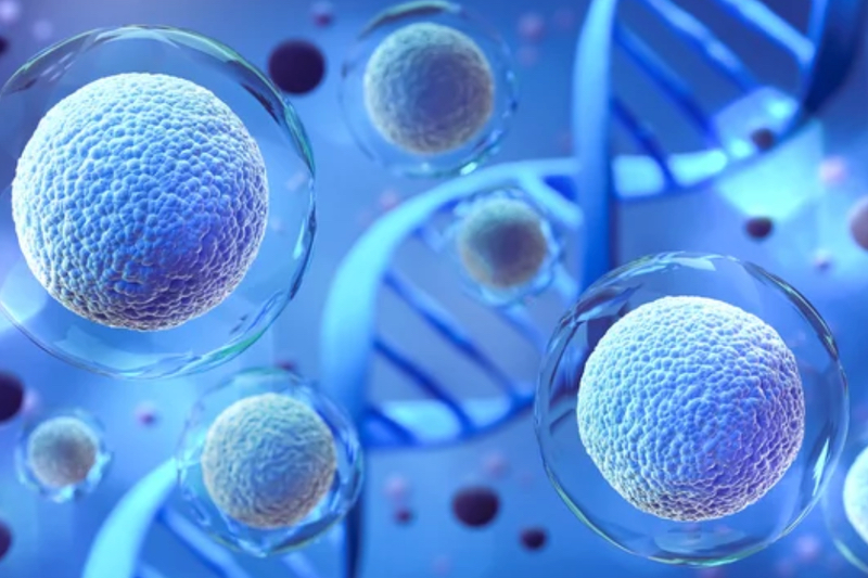 Andelyn Biosciences and Broad Institute of MIT and Harvard expand CGT R&D partnership