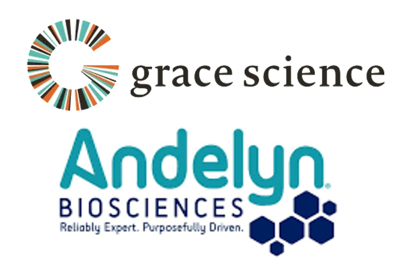 Andelyn Biosciences and Grace Science, LLC partner to manufacture AAV gene therapy