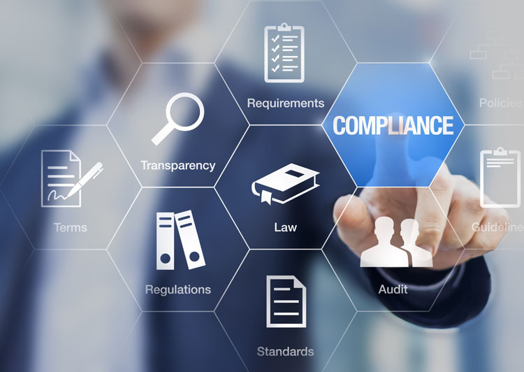 Annex 1-compliant freeze drying: a technology supplier’s perspective