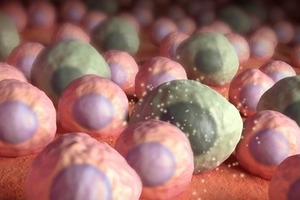 Anti-ageing drugs are on the horizon