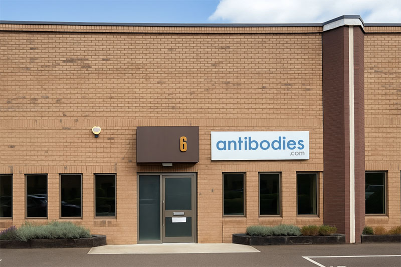 Antibodies.com expands UK headquarters to accommodate rapid growth