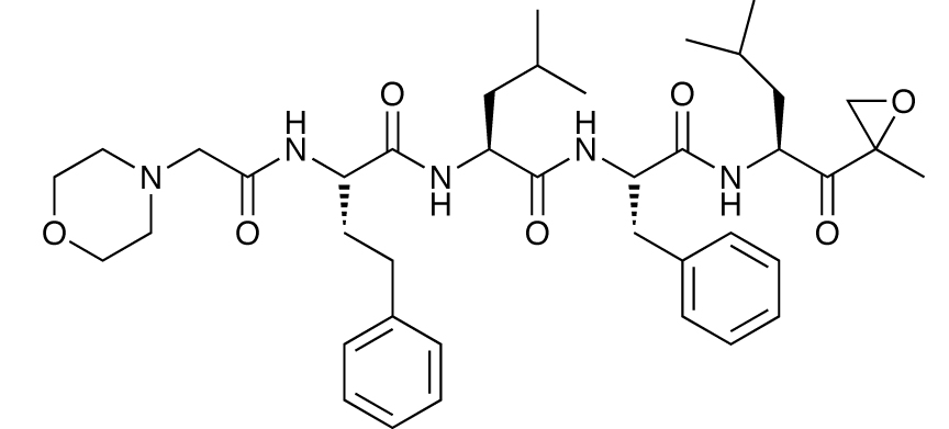 Anticancer agent - carfilzomib