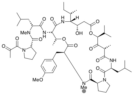 Anticancer agent – plitidepsin