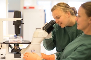 Aptevo and Alligator Bioscience develop immunotherapy candidate 