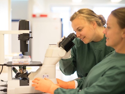 Aptevo and Alligator Bioscience develop immunotherapy candidate 