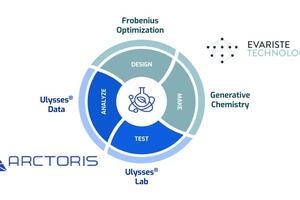 Arctoris