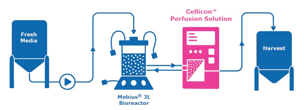 Cellicon Perfsion Solution chart