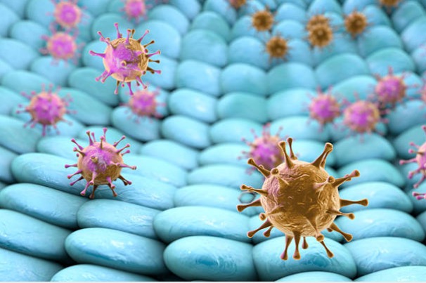 Adeno-associated virus vectors research collaboration