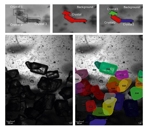 AI-based software for crystallisation studies