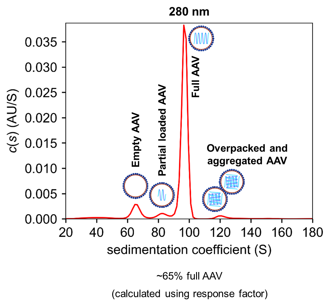 Figure 1: Analysis of capsid loading of AAVs using Analytical Ultracentrifugation (AUC)