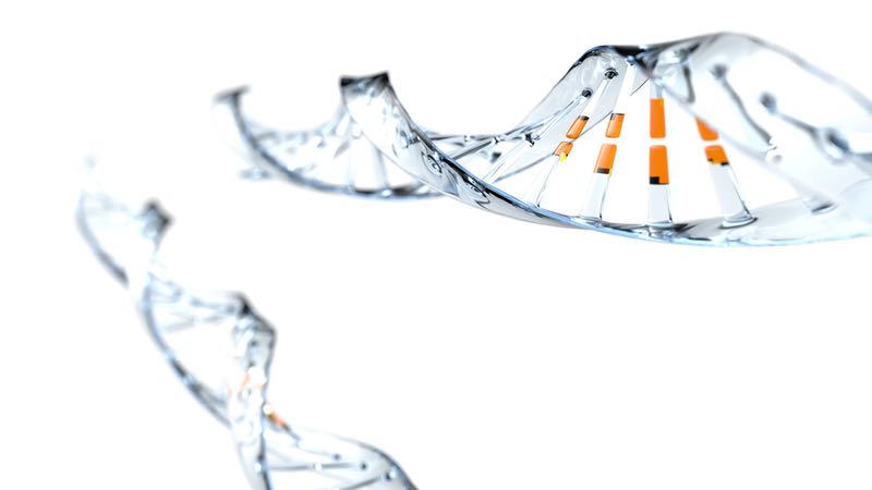 AstraZeneca joins forces with Silence to develop siRNA therapeutics