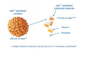 At the cellular level, cancers are unique to everyone