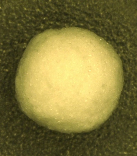 Figure 5: Single spherical lactose agglomerate (light microscope, magnification: 50x)