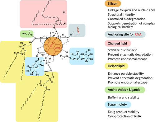 Bio-Courier: a new delivery technology to increase the global accessibility of RNA therapeutics