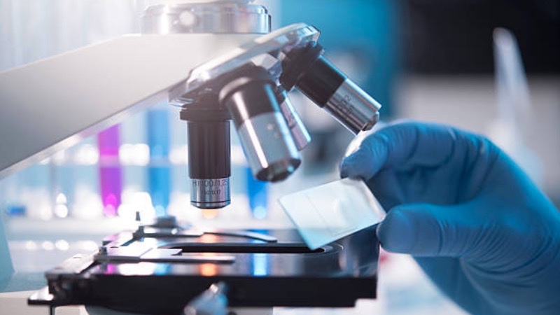 BioIVT acquires Ascendance Biotechnology