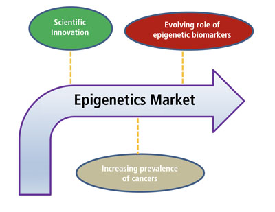Figure 2: The market drivers of epigenetic research (Nice Insight)