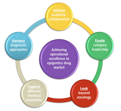 Figure 3: A strategic framework for achieving operational excellence in the epigenetic drug market (Nice Insight)