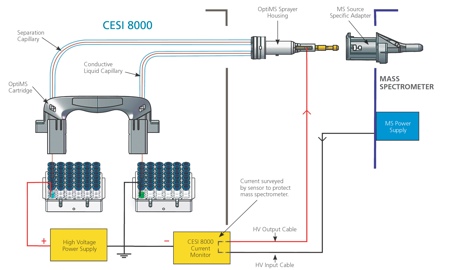 Figure 1: The CESI 8000 capillary is designed to plug easily into the source adapter